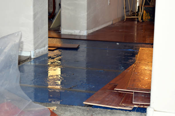 Professional Basement Flood Cleanup technician working in Young America, MN